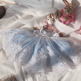 Baby Girl Princess Birthday Dress Cute Party Outfit